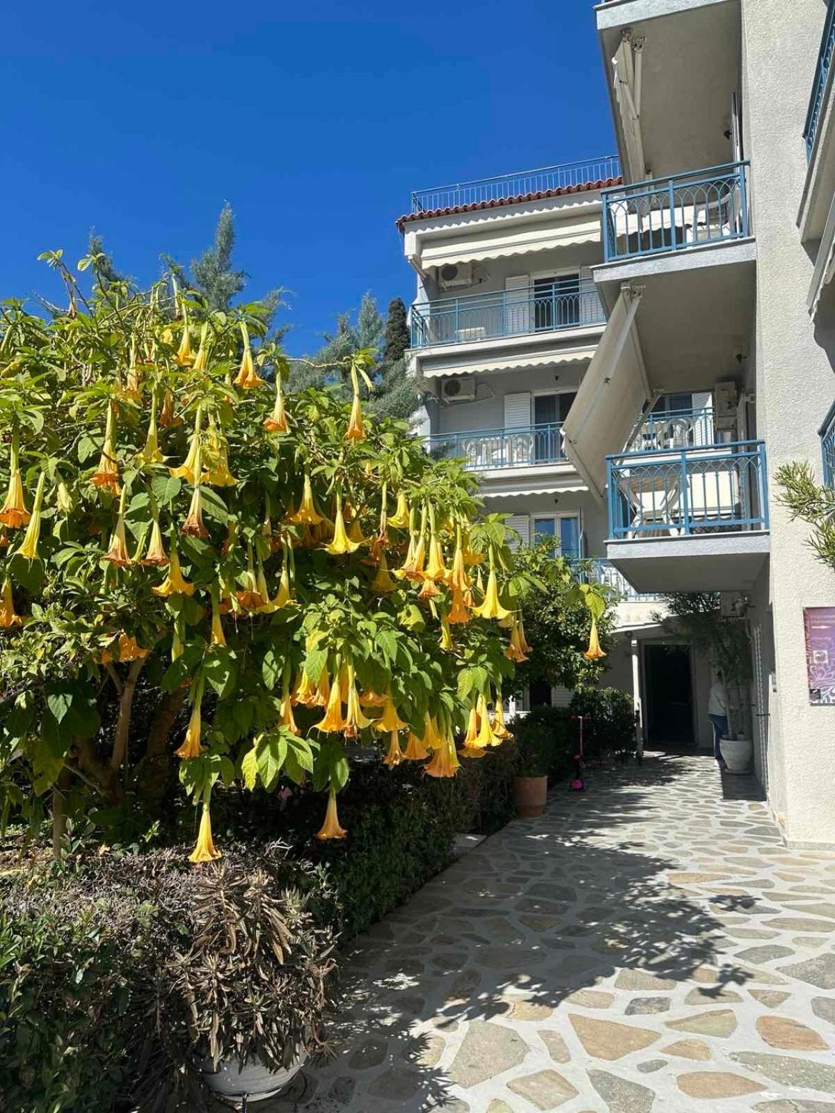 Drossinos Studios Poros Town Exteriör bild